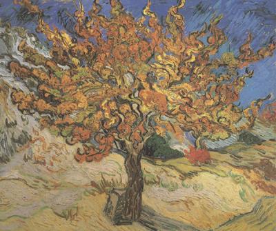 Vincent Van Gogh The Mulberry Tree (nn04) china oil painting image